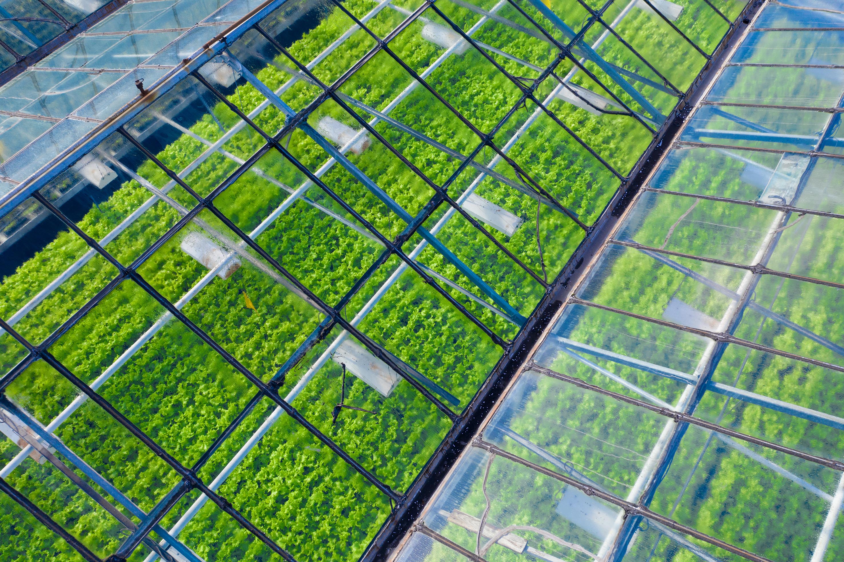 Aerial view of large-scale greenhouses and agricultural fields